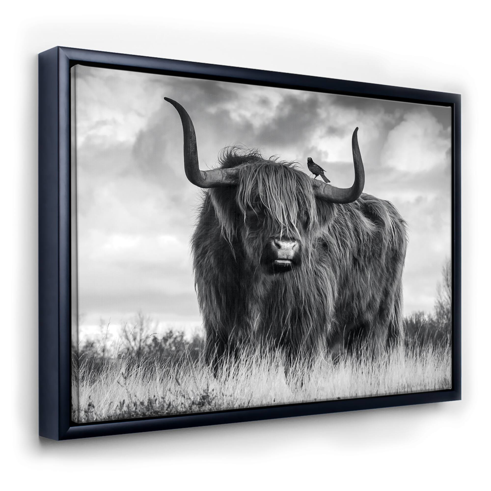Designart - Longhaired Scottish Bull